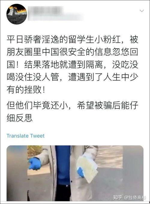 蓉城吃瓜群众事件始末,一场网络舆论的风暴与反思