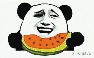 吃瓜群众的欢乐,吃瓜群众的欢乐盛宴