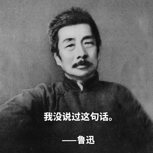 鲁迅评论吃瓜群众视频的句子,一场关于围观与思考的深刻对话