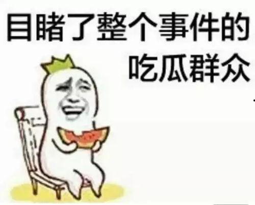 吃瓜群众酱油哥,吃瓜群众的美食探索之旅