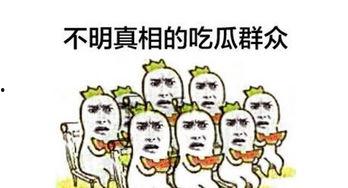贬低吃瓜群众的文案短句,揭秘“吃瓜群众”背后的偏见与误解
