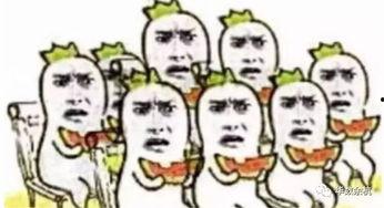 十年了吃瓜群众,见证时代变迁的吃瓜群众