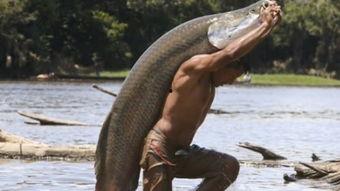 吃瓜群众皮皮鱼,吃瓜群众的欢乐盛宴