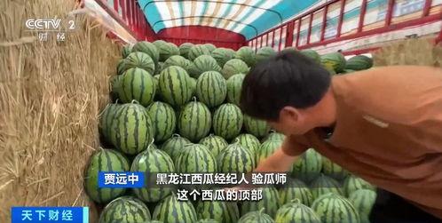 博山沿河吃瓜群众是谁,一场民间舆论的风云变幻