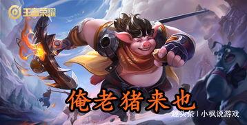 王者荣耀吃瓜群众解说