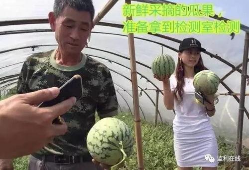 吃瓜群众的直播号,带你领略直播界的趣味与热点