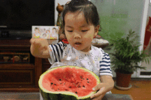 不吃西瓜文案 吃瓜群众,吃瓜群众背后的故事