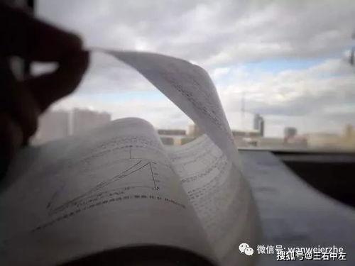 吃瓜群众岱岱百度云盘,百度云盘背后的故事