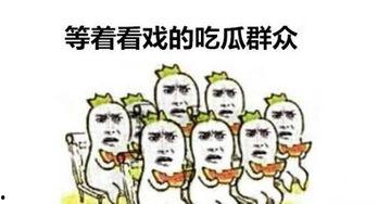吃瓜群众小鑫微博,揭秘娱乐圈那些不为人知的幕后故事