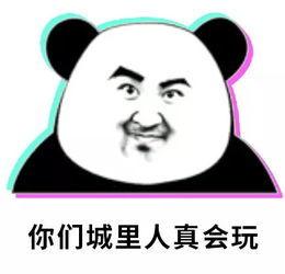 吃瓜群众的头像熊猫图片,吃瓜群众头像背后的趣味解读