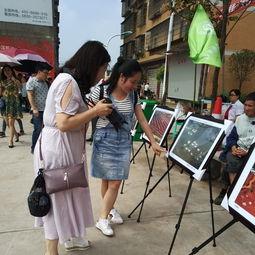 唐山事件吃瓜群众头像,吃瓜群众头像背后的社会现象解析