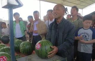 库尔勒吃瓜群众八人