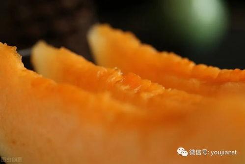 认真做个吃瓜群众的句子,见证人间百态