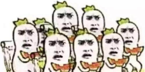 吃瓜群众涅普酱,揭秘网络红人的崛起之路