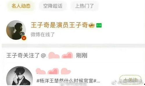 王子奇加入吃瓜群众了吗