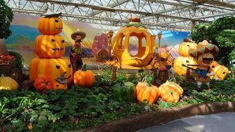 吃瓜群众第二季免费看