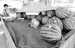 吃瓜群众王大姐