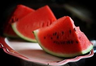 吃瓜群众多肉,绿植养植指南与趣事分享