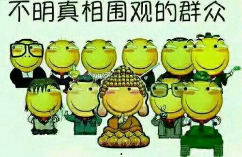 吃瓜群众格言怎么写,揭秘网络舆论场的智慧与幽默