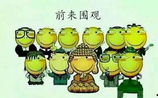 吃瓜群众在宁波,吃瓜群众热议城市新动态