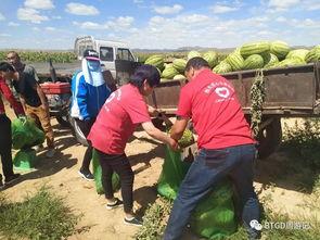 鹿城吃瓜群众事件最新进展,最新进展揭示真相与后续影响