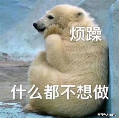 吃瓜群众生气图片,表情包揭示社会热点情绪