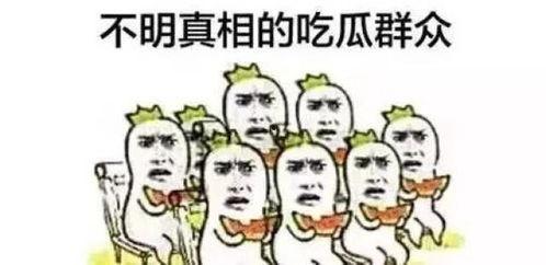 吃瓜群众神助攻视频,揭秘视频背后的精彩瞬间