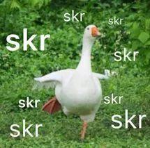 看吃瓜群众的意思和造句,揭秘“吃瓜群众”背后的社会现象与心理解读