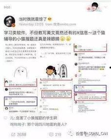 我是吃瓜群众翻译