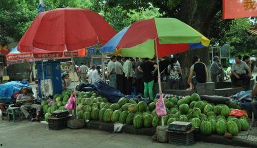 千鹤夜市吃瓜群众是谁,揭秘“吃瓜群众”背后的故事