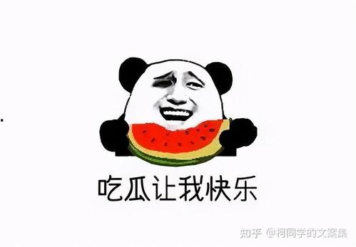 吃瓜群众的壁纸图文