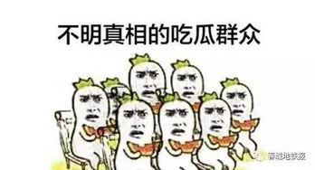 吃瓜群众应该做什么事情