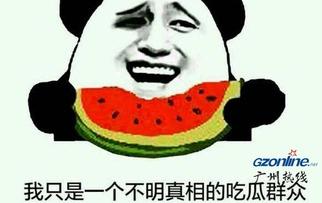 吃瓜群众是哪种瓜,从西瓜到网络热词的演变之旅